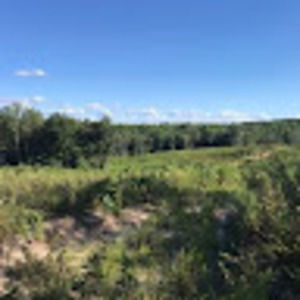 Meet your Posher, Nesmith